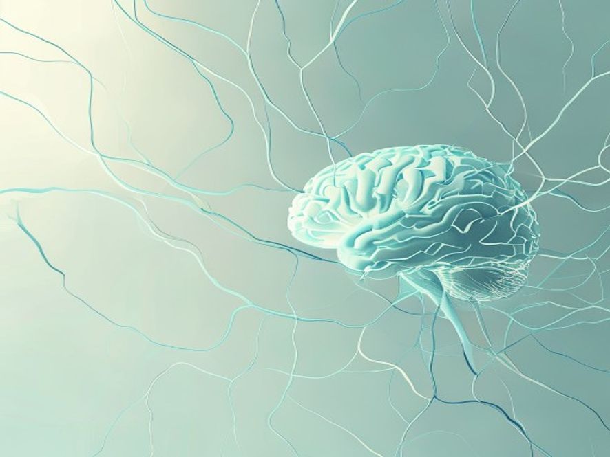 Brain illustration with neural pathways highlighted in soft blue